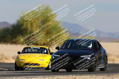 media/Nov-23-2024-Nasa (Sat) [[59fad93144]]/HPDE 1-2/Session 3 Turn 4 Tree of Life/